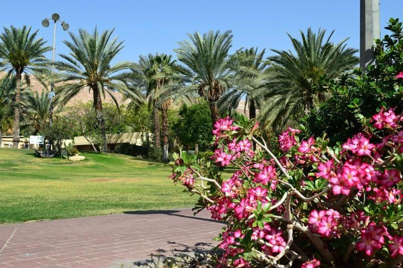כפר נופש קלי"ה ים המלח Hotell Kalia  Eksteriør bilde
