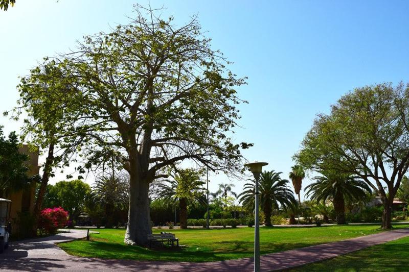 כפר נופש קלי"ה ים המלח Hotell Kalia  Eksteriør bilde