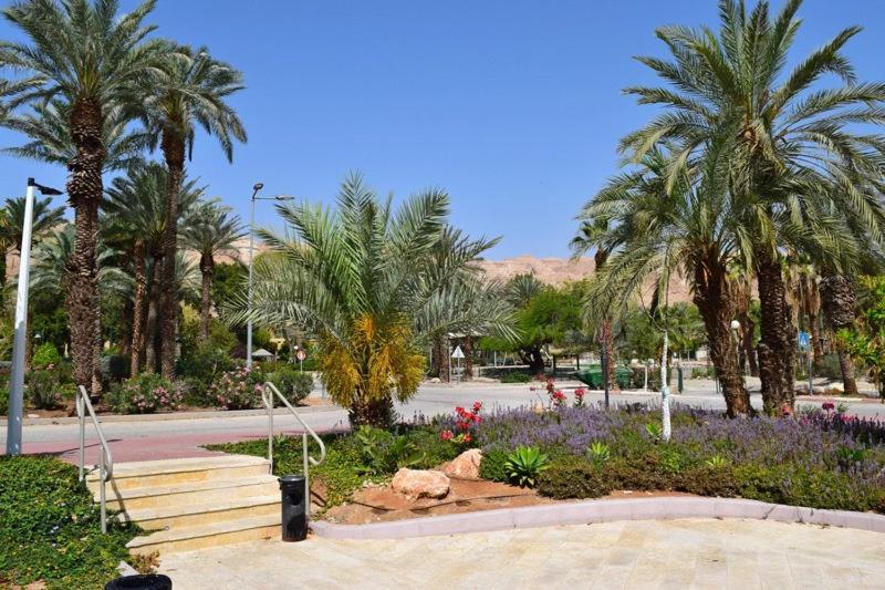 כפר נופש קלי"ה ים המלח Hotell Kalia  Eksteriør bilde