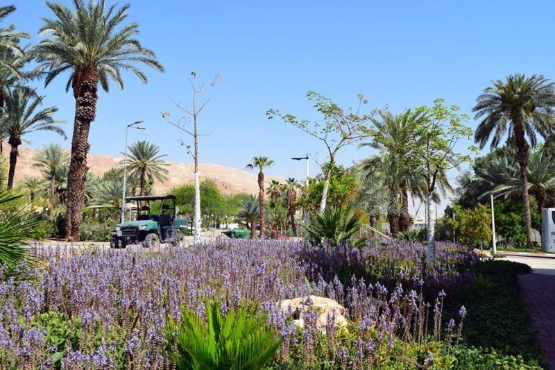 כפר נופש קלי"ה ים המלח Hotell Kalia  Eksteriør bilde